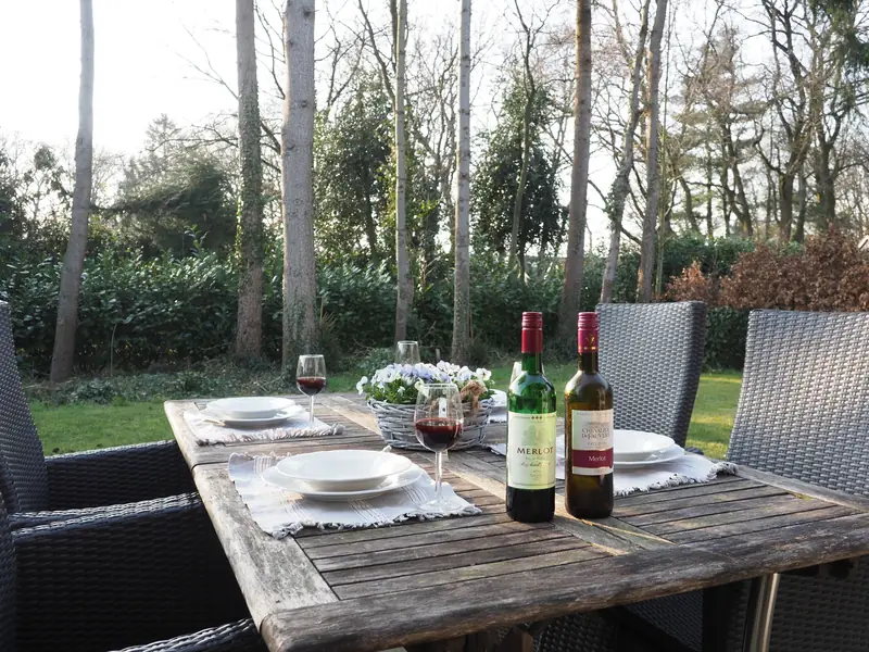 Der gedeckte Tisch auf der Terrasse von Haus&nbsp;3, dahinter der Garten und hohe Bäume.