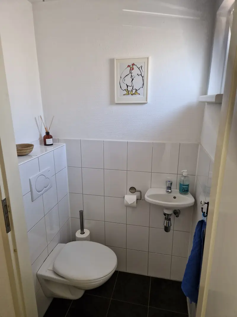 Das separate WC von Haus&nbsp;3, mit einem kleinen Handwaschbecken.